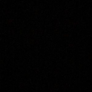 Meet your Posher, Timothy